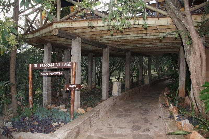 Masai Mara Sopa Lodge 마사이마라 외부 사진