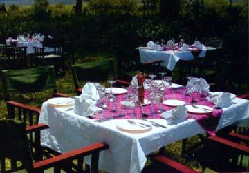 Masai Mara Sopa Lodge 마사이마라 외부 사진